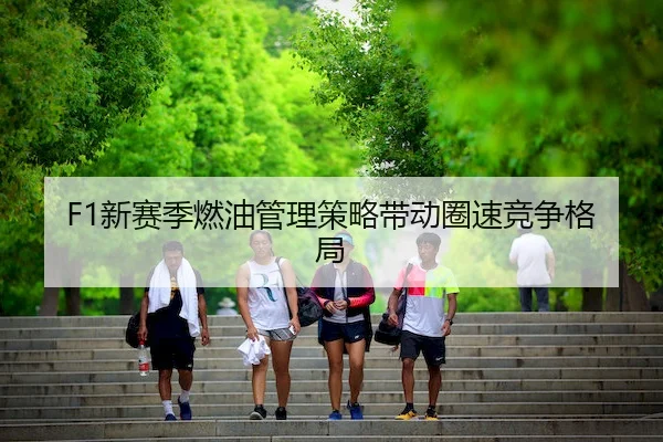 xin-sai-ji-ran-you-guan-li-ce-lve-dai-dong-quan-su-jing-zheng-ge-ju-1-518.jpg